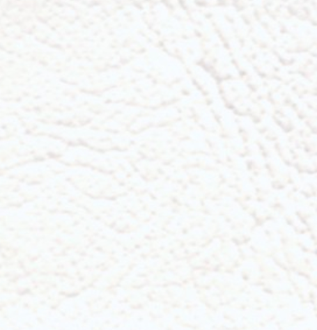 Vinyl Marine Windward